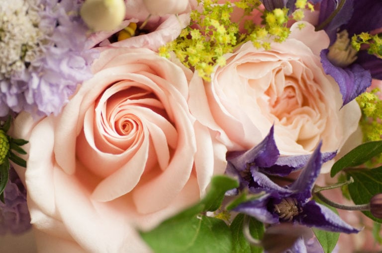 The Rose Bower | Wedding Florists