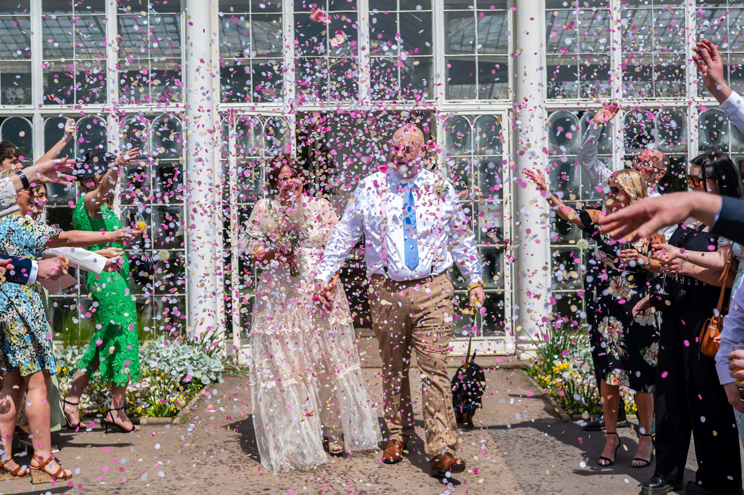 Couple walk through pink confetti outside the Camellia House at Wollaton Hall