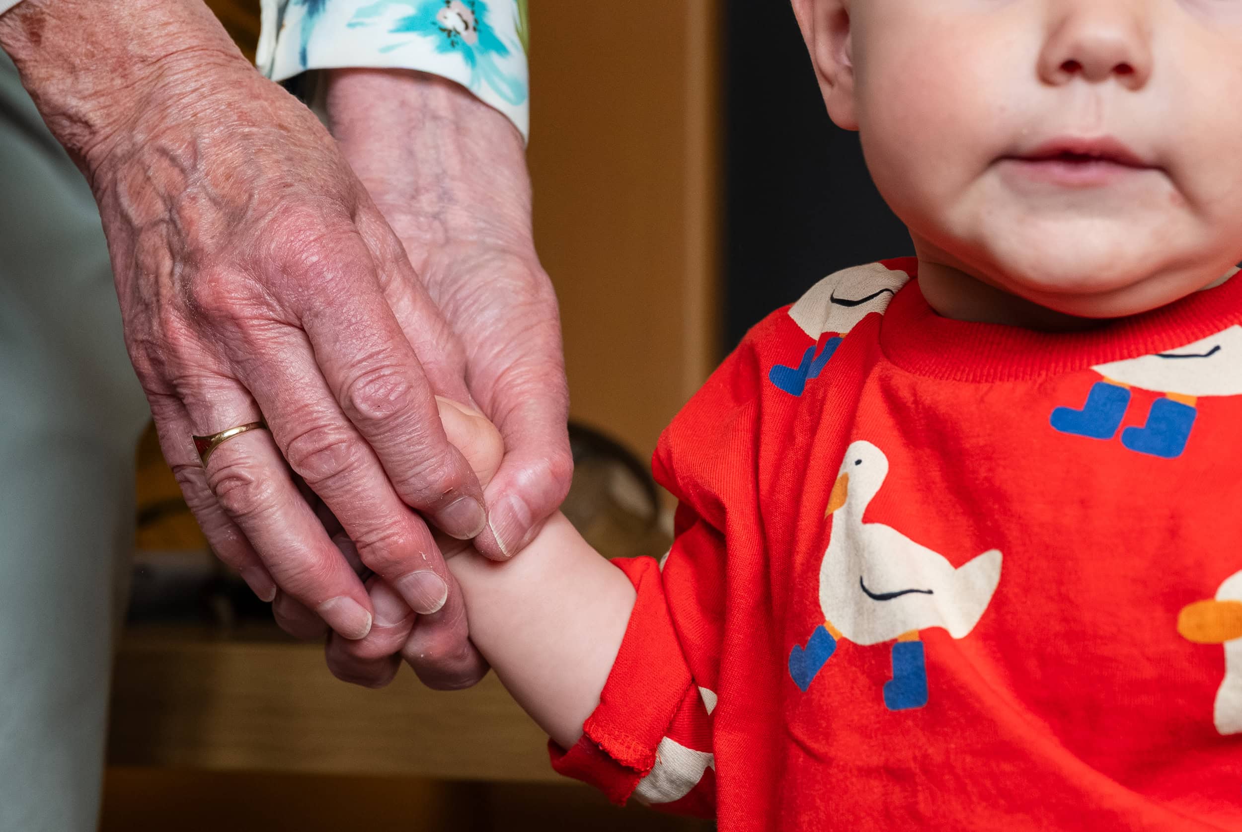 Close-up of a grandparent holding a toddler's hand