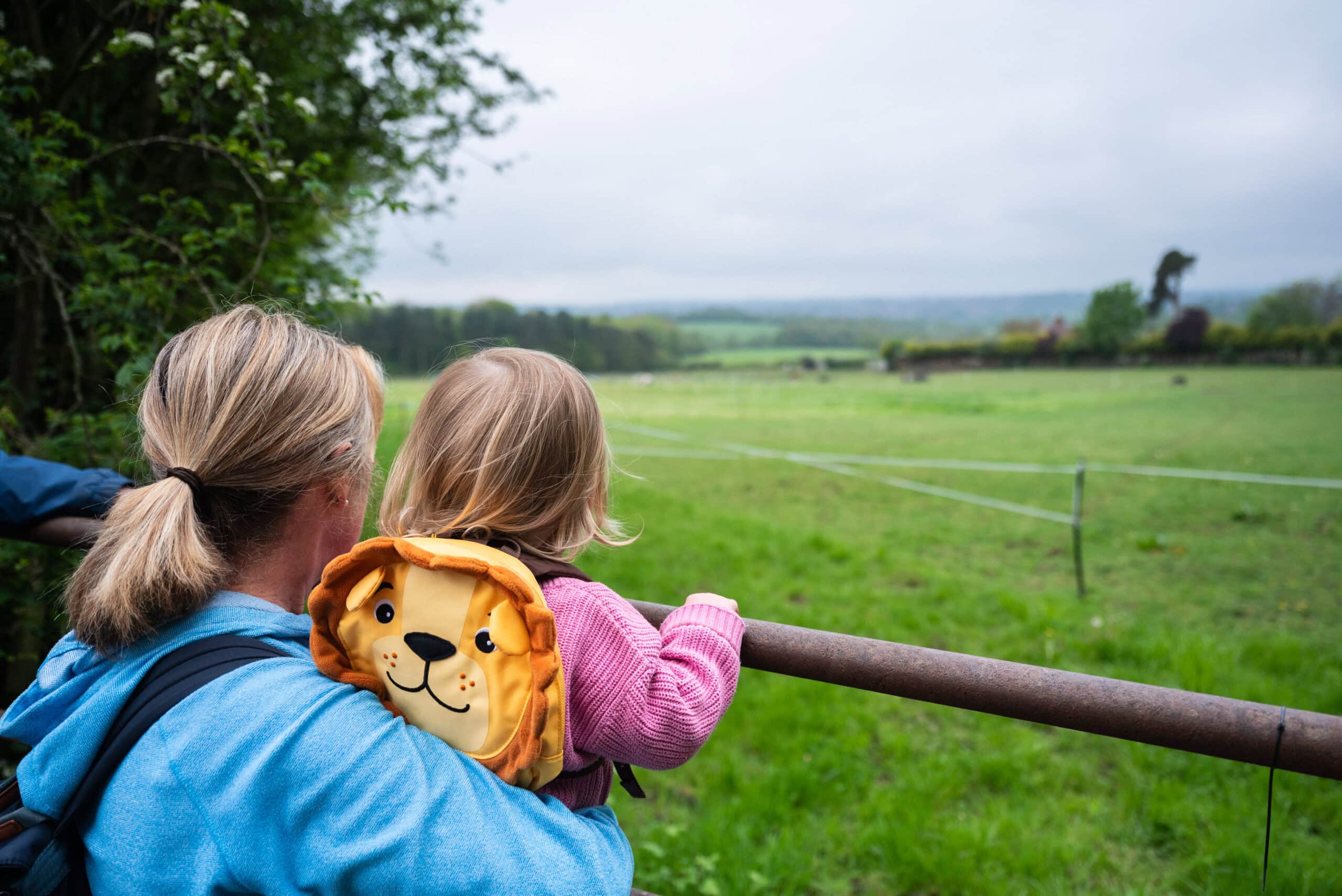 Mum and her daughter look over a fence at a field with a toy lion